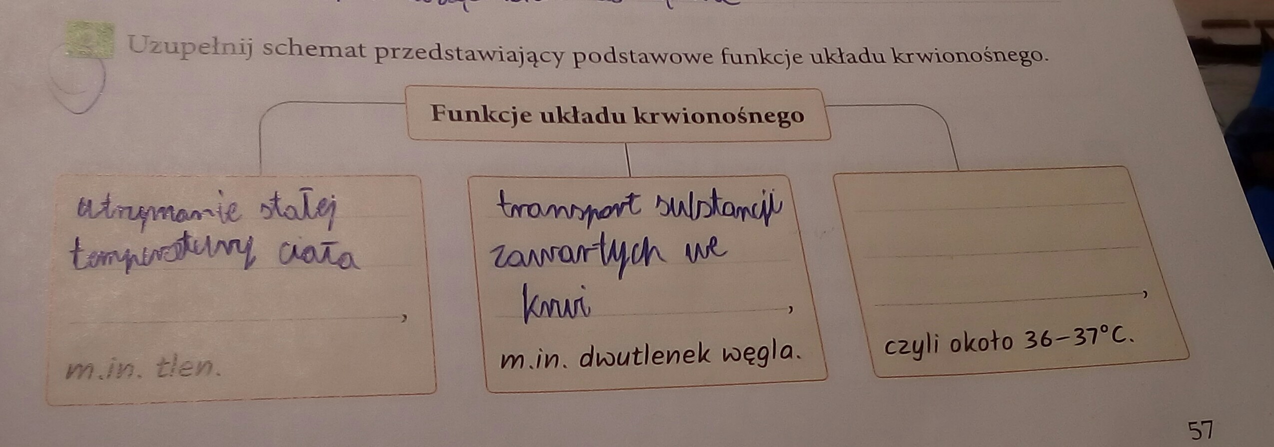 uzupełnij schemat przedstawiający podstawowe funkcje układu Uzupelnij Schemat Przedstawiajacy Podstawowe Funkcje Ukladu Krwionosnego Przyroda