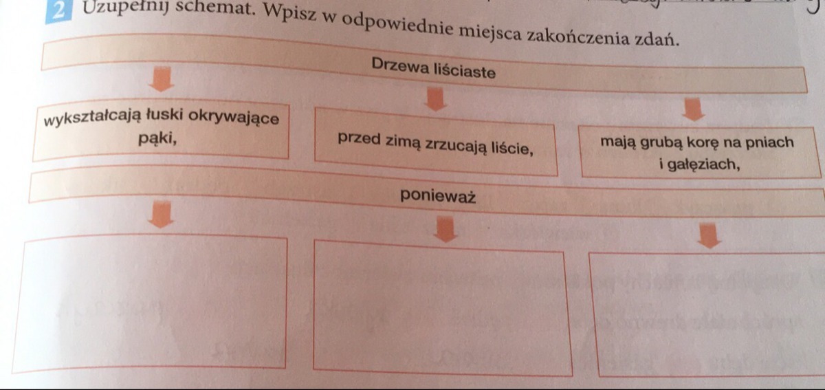 Wpisz W Odpowiednie Miejsca Pod Ilustracjami