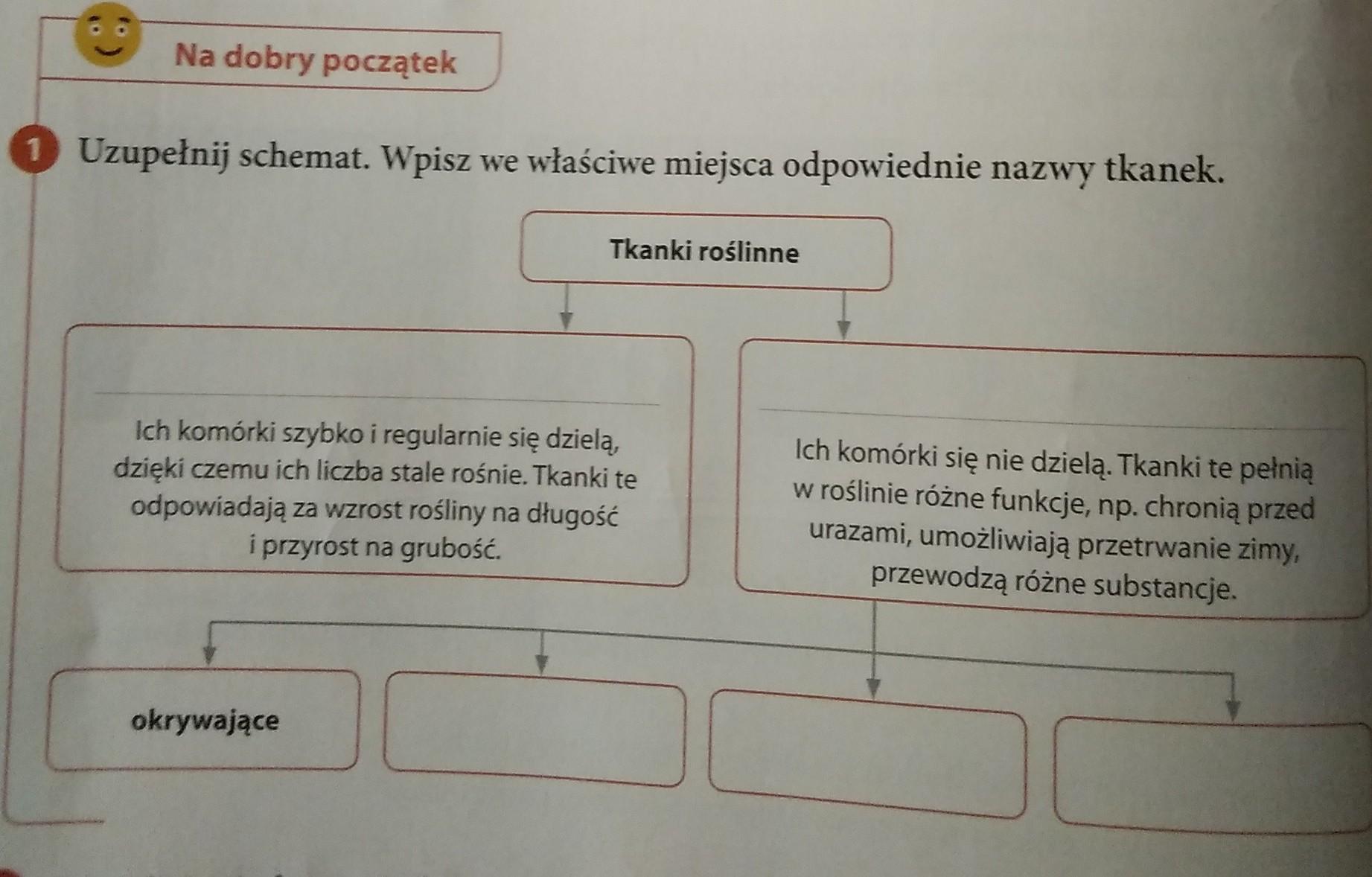 Uzupełnij schemat. Wpisz we właściwe miejsca odpowiednie nazwy tkanek Wpisz W Odpowiednie Miejsca Podane Nazwy Elementów Wyposażenia Husarza