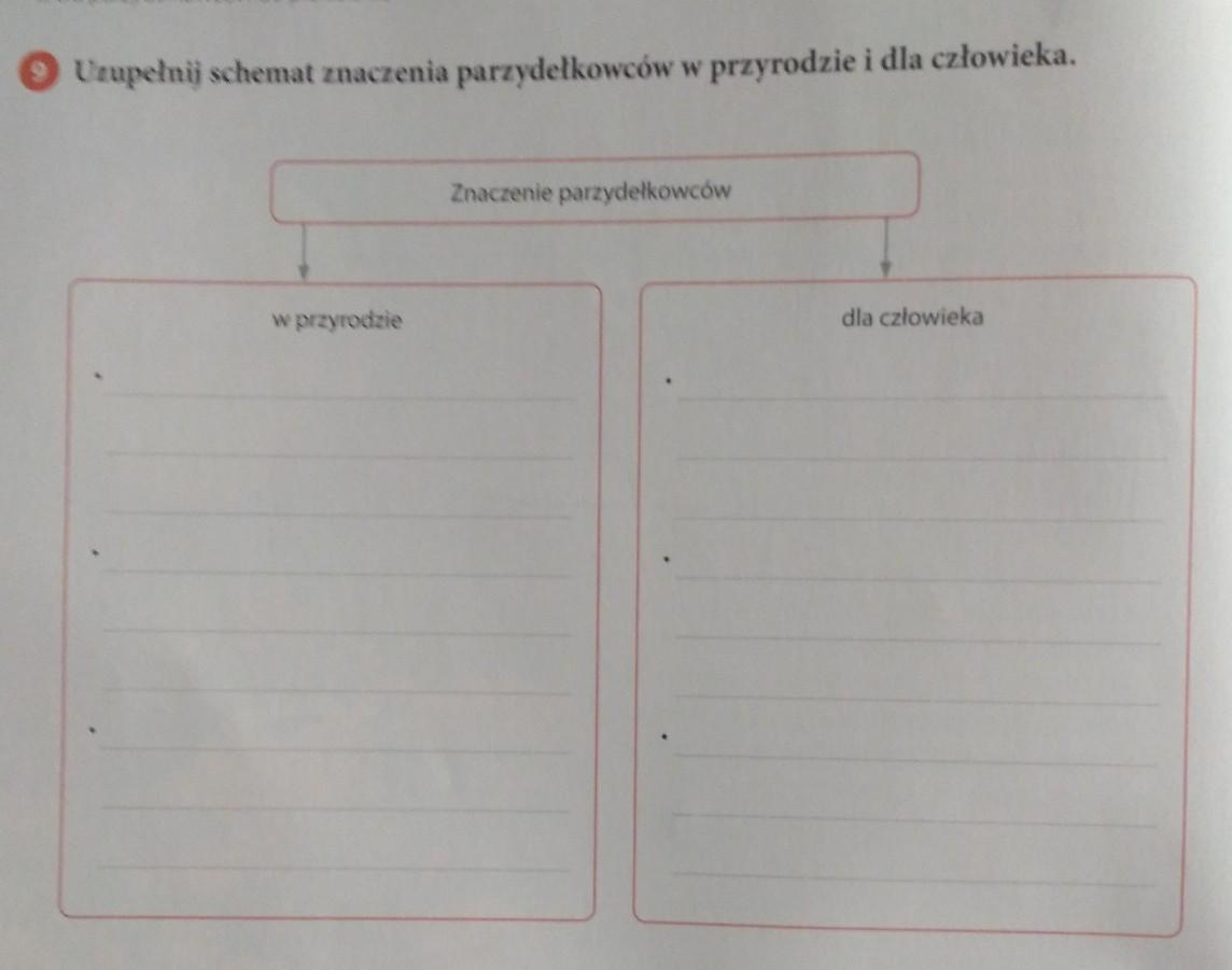 Uzupełnij schemat znaczenia parzydelkowców w przyrodzie i dla Podaj Dwa Przyklady Znaczenia Parzydelkowcow W Przyrodzie