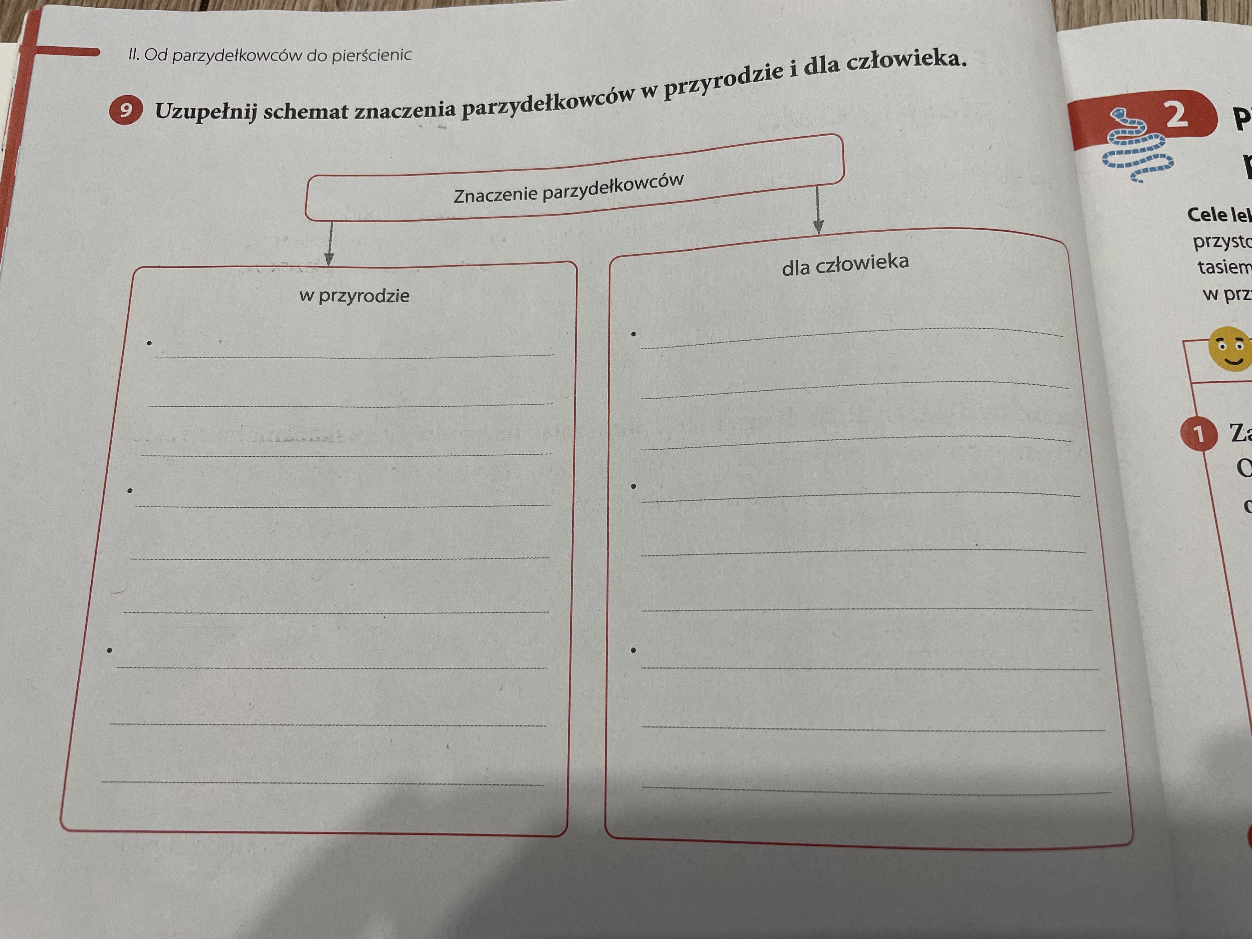 Uzupełnij schemat znaczenia parzydełkowców w przyrodzie i dla człowieka Podaj Dwa Przyklady Znaczenia Parzydelkowcow W Przyrodzie