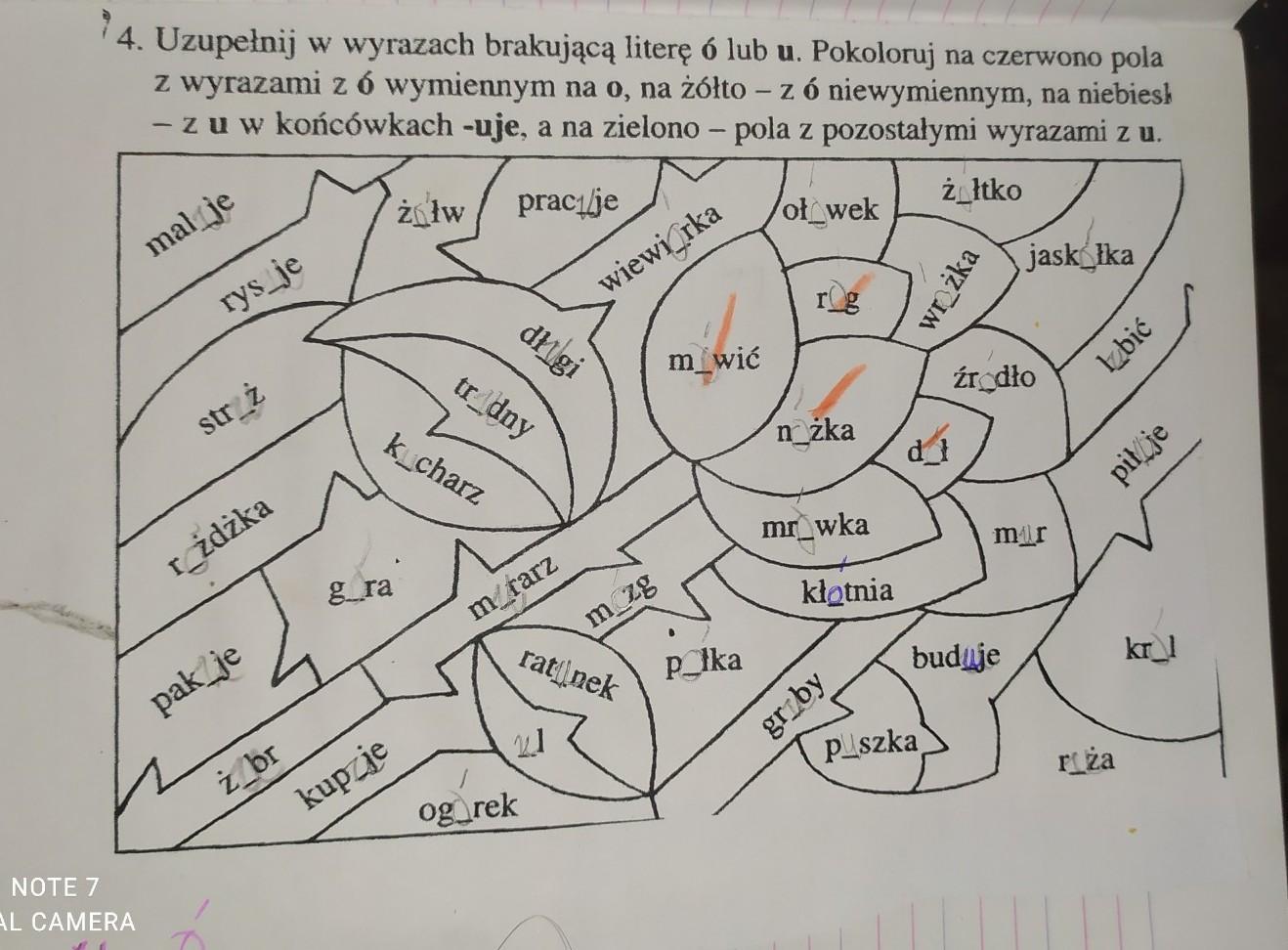 Uzupełnij w wyrazach brakującą literę ó lub u. Pokoloruj na czerwono Uzupełnij Tekst Literami ó Lub U