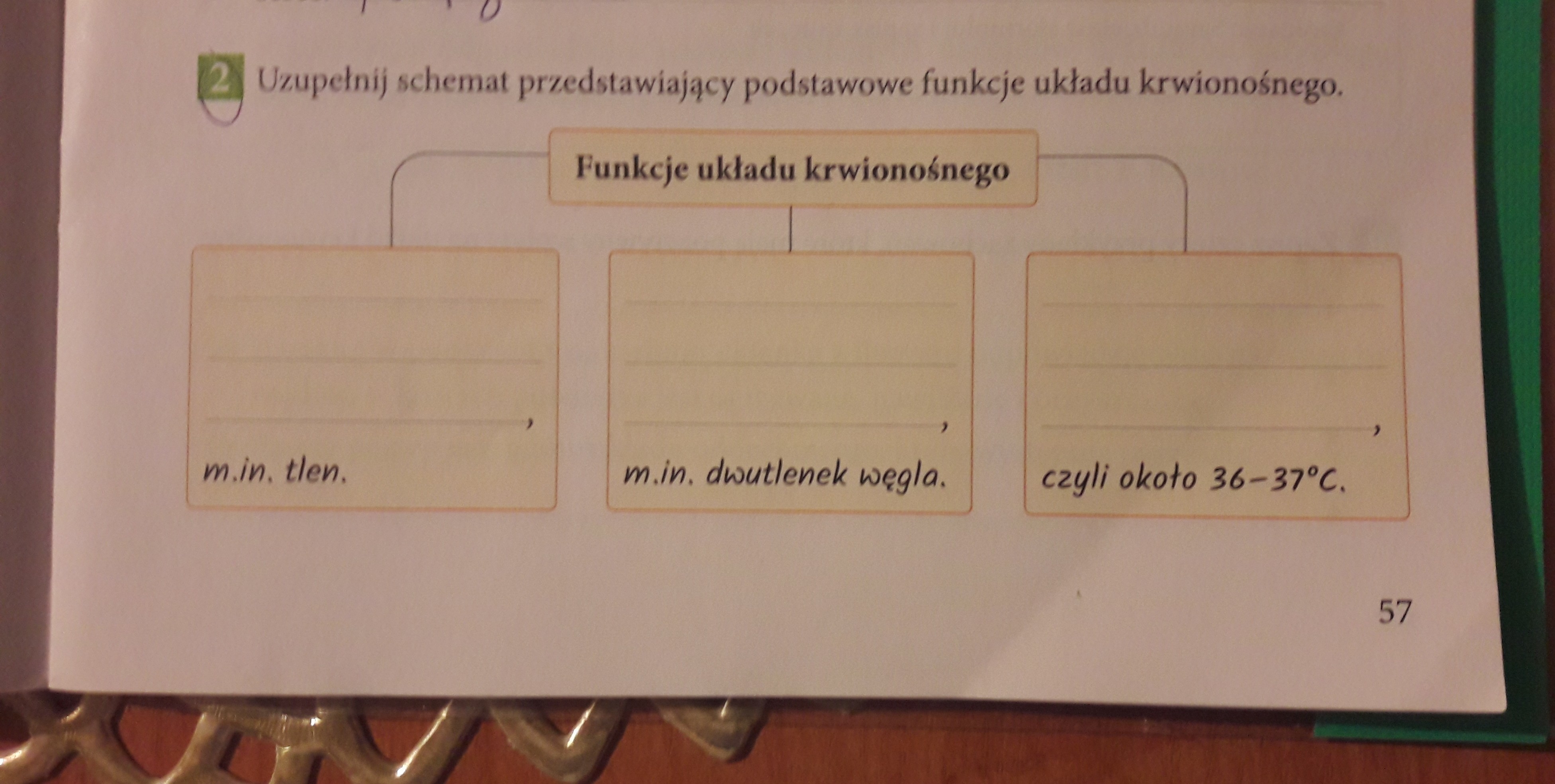 uzupełnji schemat przedstawiający podstawowe funkcje układu Uzupelnij Schemat Przedstawiajacy Podstawowe Funkcje Ukladu Krwionosnego
