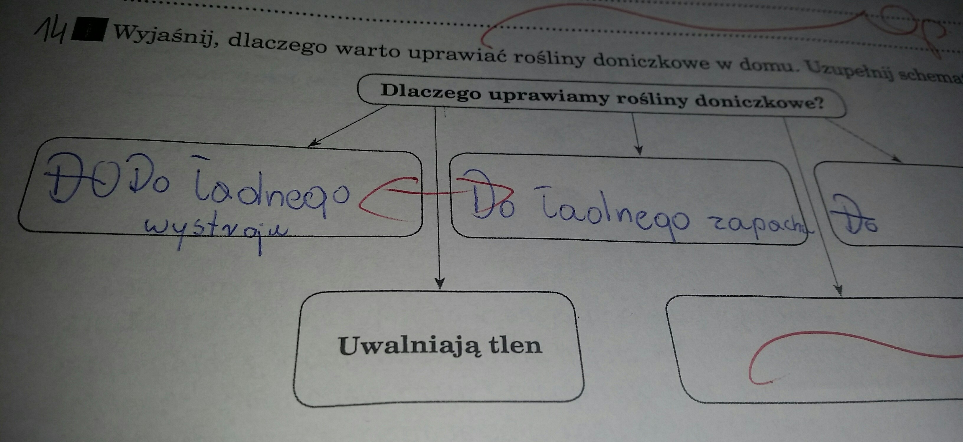 Uzupenij Schemat Dotyczcy Uzyskiwania Energii Przez Organizmy - question Uzupełnij Schemat Dotyczący Uzyskiwania Energii Przez Organizmy