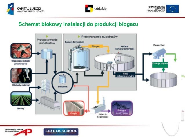 Uzupenij Schemat Dotyczcy Uzyskiwania Energii Przez Organizmy - question Uzupełnij Schemat Dotyczący Uzyskiwania Energii Przez Organizmy