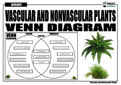 Vascular And Nonvascular Plants Venn Diagram
