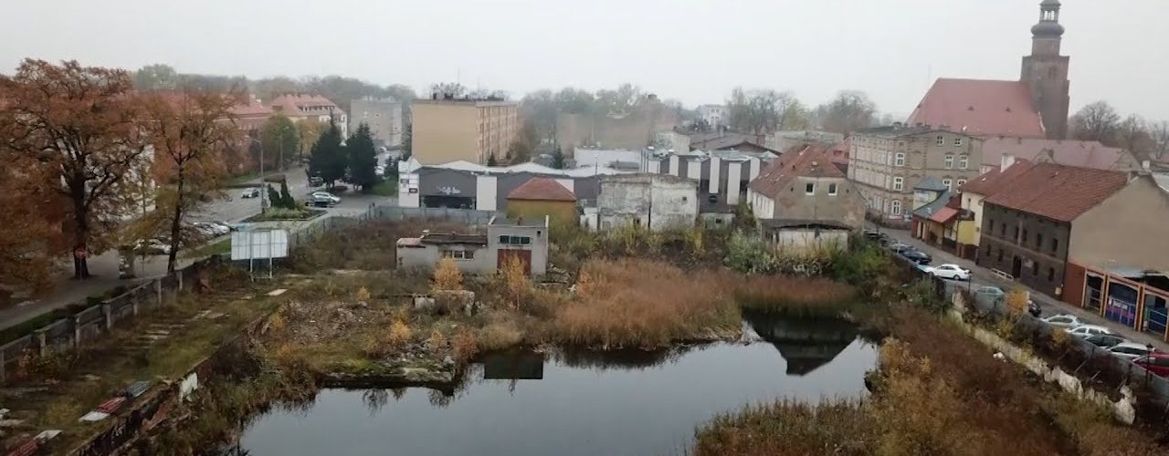 W Co Goplana Zamienila Grabca