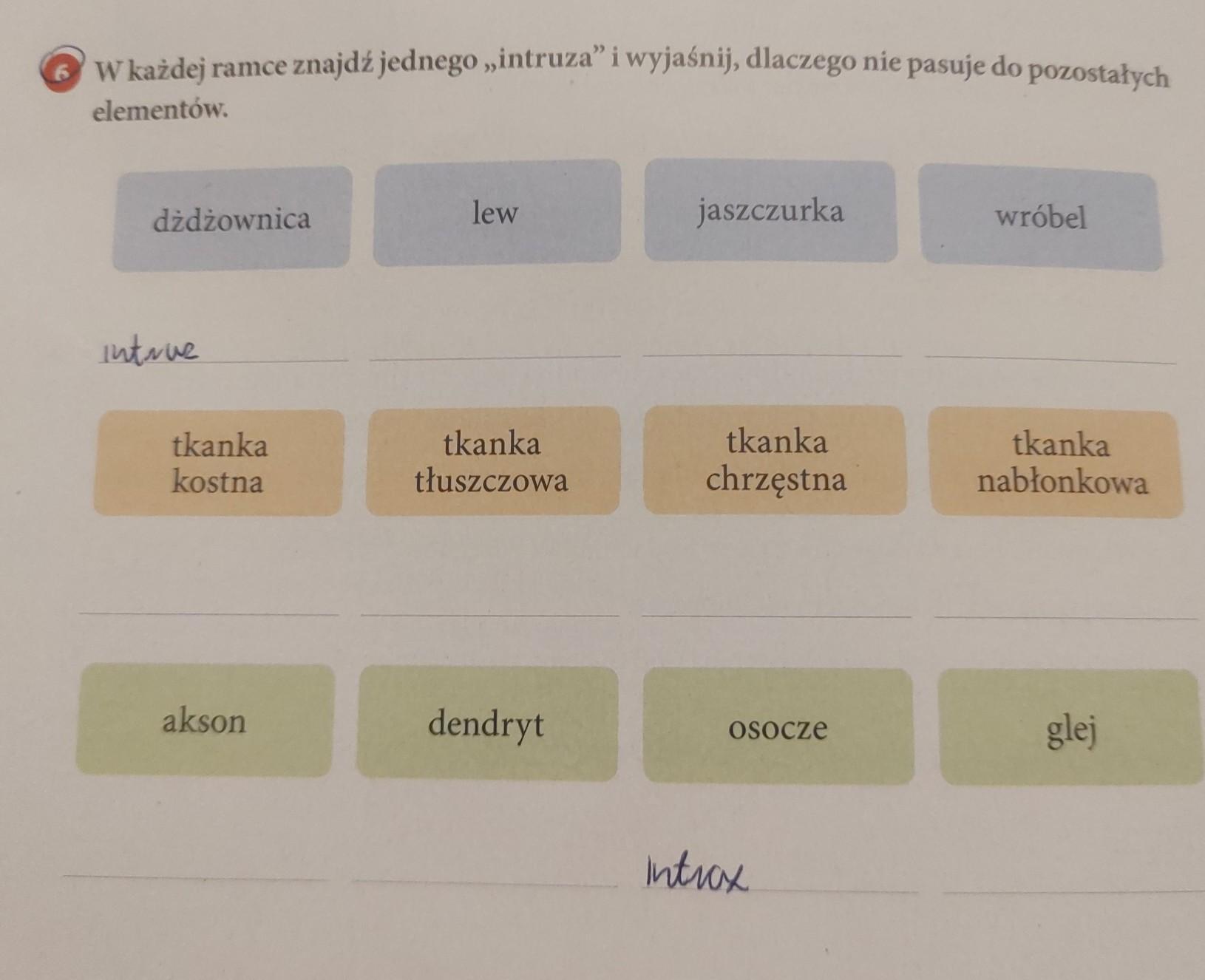 W każdej ramce znajdź jednego ,intruza" i wyjaśnij, dlaczego nie pasuje W Każdej Ramce Jeden Z Elementów Nie Pasuje Do Pozostałych