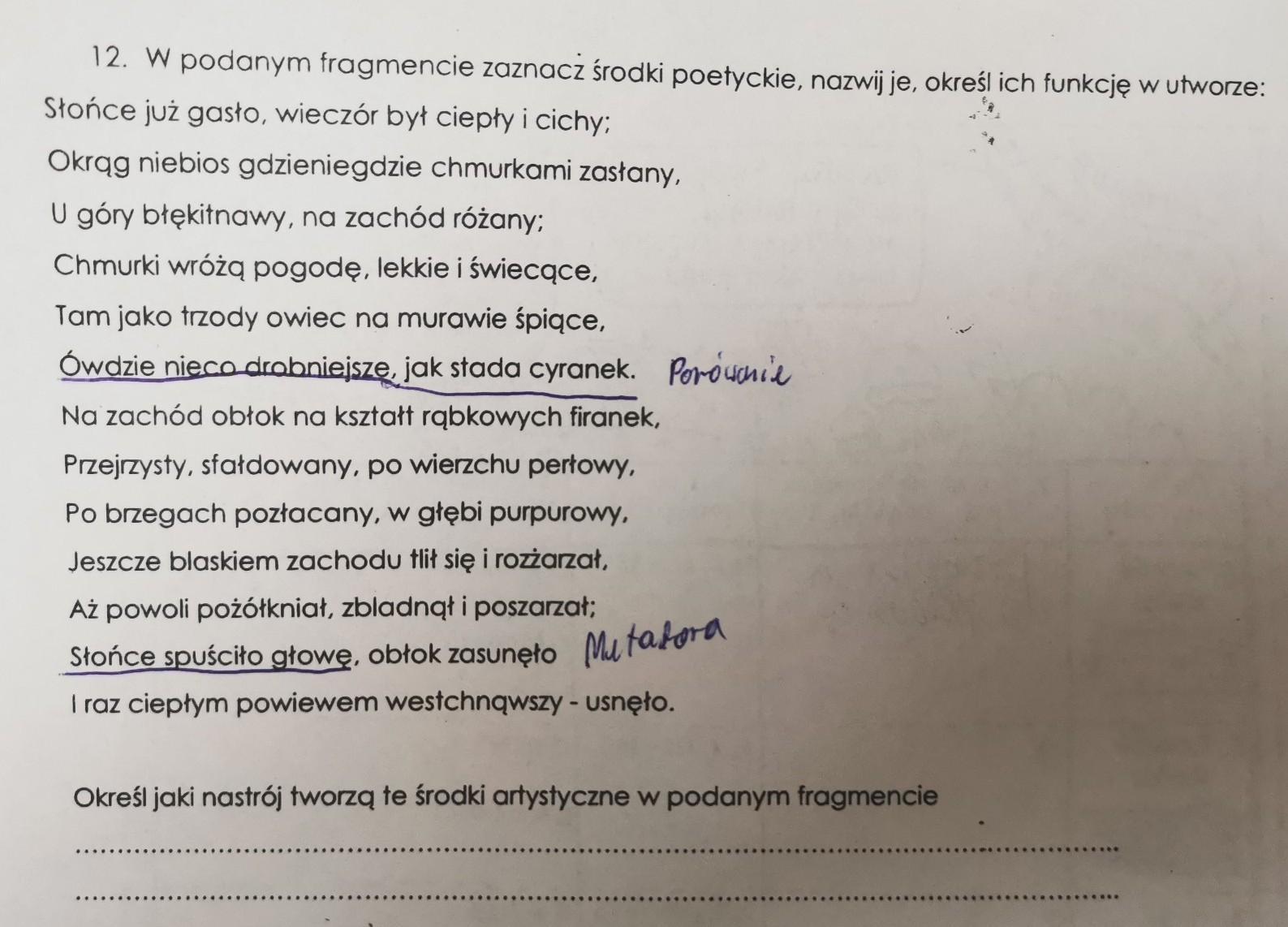 W podanym fragmencie zaznacz środki poetyckie, nazwij je i Określ ich Napisz Fragment Pamiętnika Jednego Z Chłopców Lecących Kosmicznym Skuterem