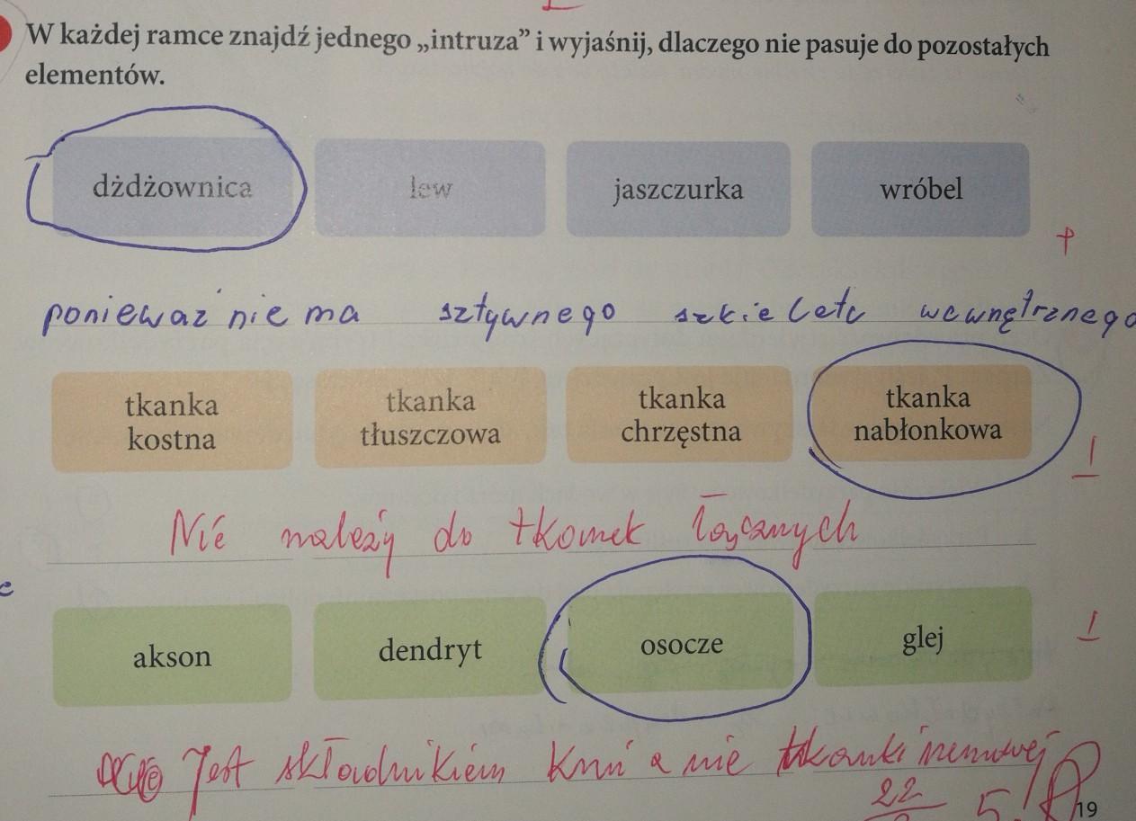 W Każdej Ramce Jeden Z Elementów Nie Pasuje Do Pozostałych