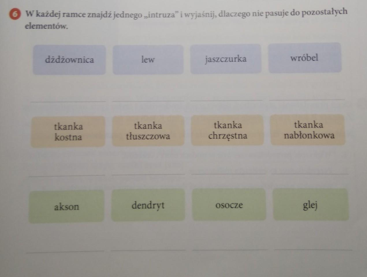 w w każdej ramce znajdź jednego intruza i wyjaśnij dlaczego nie pasuje W Każdej Ramce Jeden Z Elementów Nie Pasuje Do Pozostałych