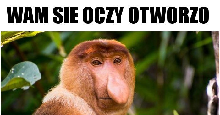 Wam Się Oczy Otworzą Jak Mnie Się Zamkną