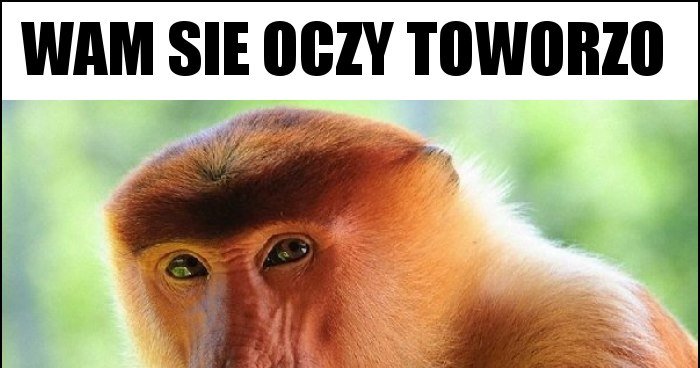 wam sie oczy toworzo memy, gify i śmieszne obrazki facebook, tapety Wam Się Oczy Otworzą Jak Mnie Się Zamkną
