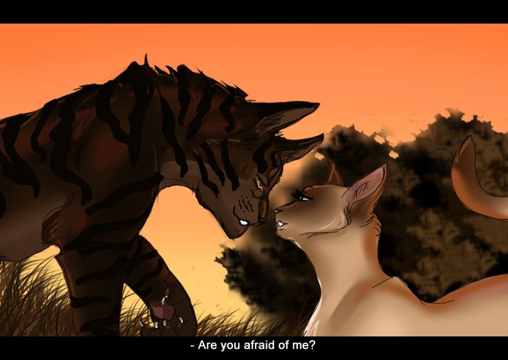 Warrior Cats Tigerstar And Sasha
