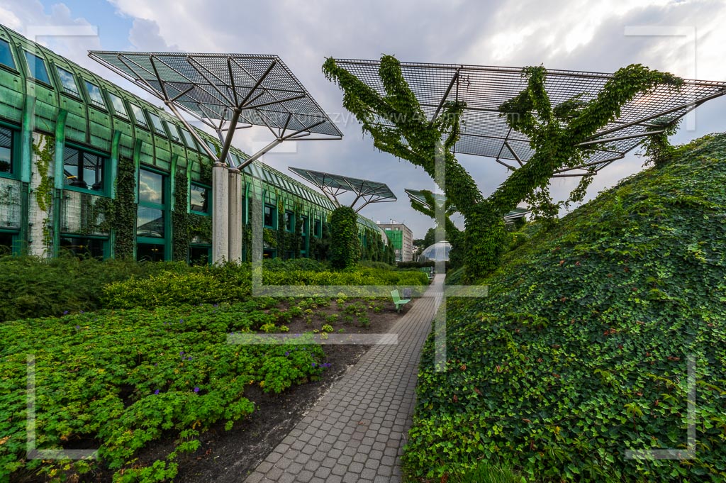 Warszawa - Biblioteka Uniwersytecka Miasto Warszawa Nazwa Uniwersytetu Data Powstania Uczelni