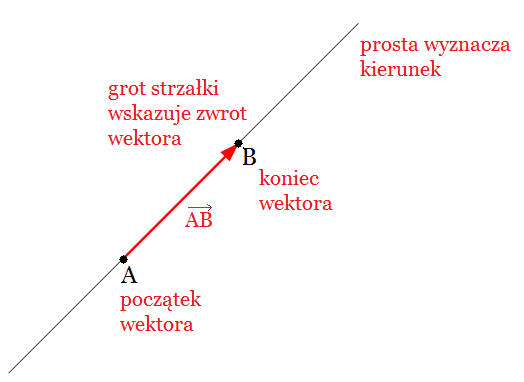 Wskaz Ilustracje Na Ktorej Prawidlowo Pokazano Wektory