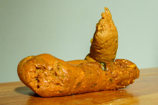 What Does Healthy Human Poop Look Like Show Me A Picture Of Poop