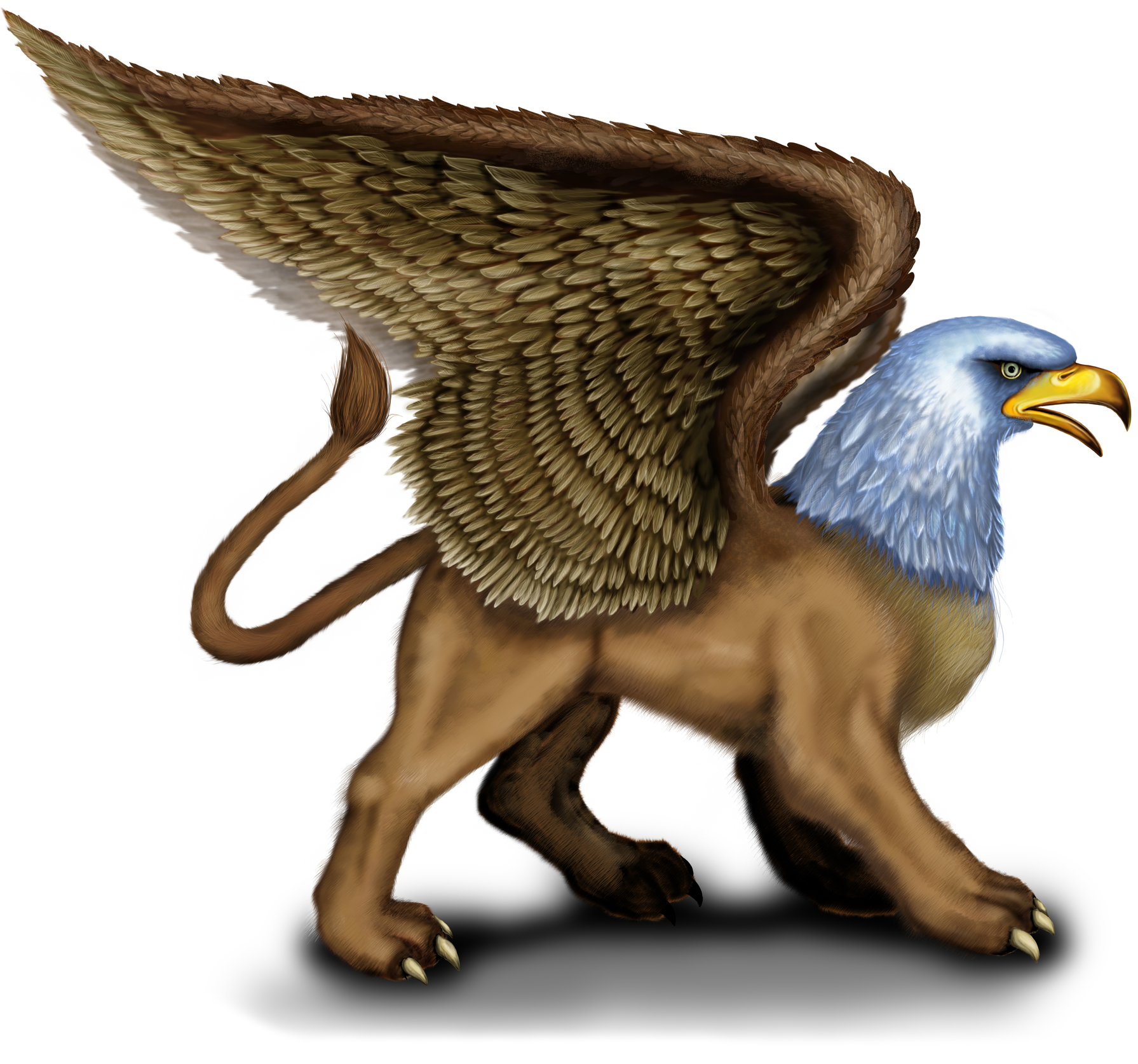 What is a Griffin? | Wonderopolis Griffin Podstawy Zarządzania Organizacjami Streszczenie