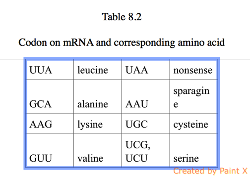 Refer To The Table The Anticodon For Valine Is