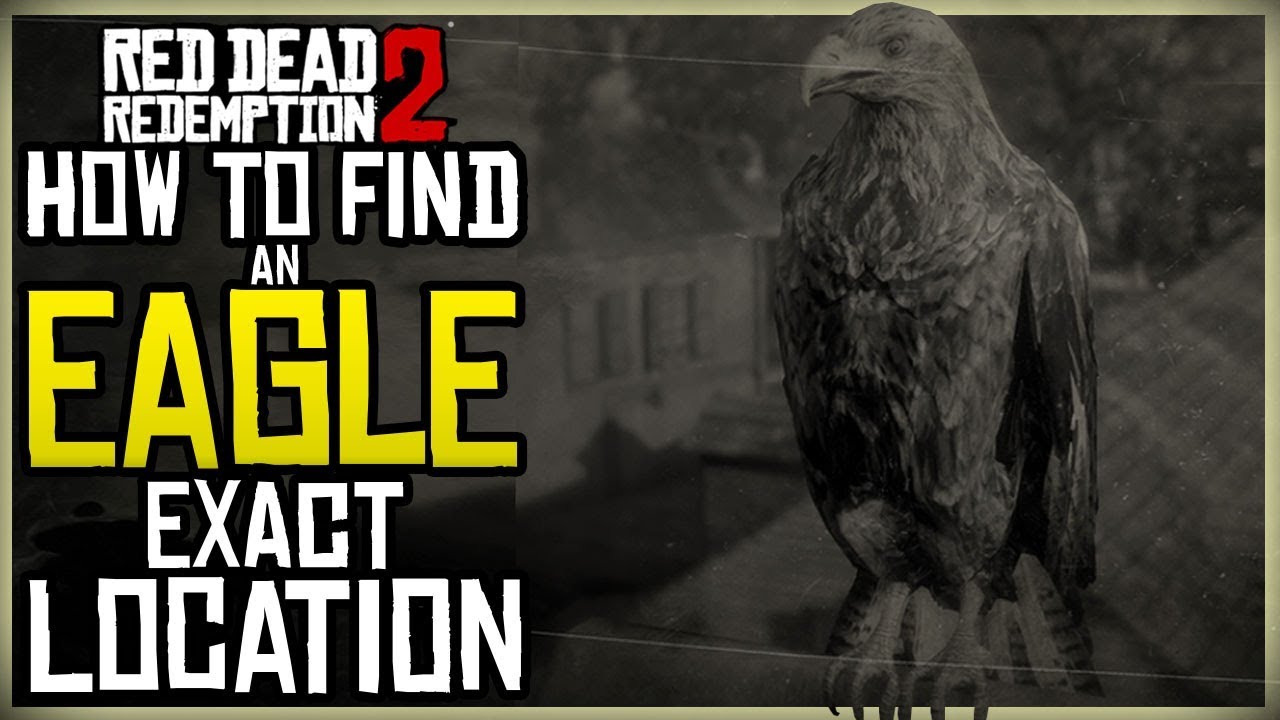 WHERE TO FIND EAGLE'S IN RED DEAD REDEMPTION 2 EXACT EAGLE MAP LOCATION Red Dead Redemption 2 Eagle Eye