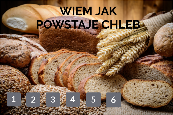 WIEM JAK POWSTAJE CHLEB Jak Powstaje Chleb Film Chomikuj