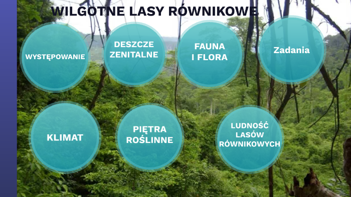 Wilgotne lasy równikowe by Aldona Skrobek on Prezi Wilgotne Lasy Rwnikowe Zwierzeta