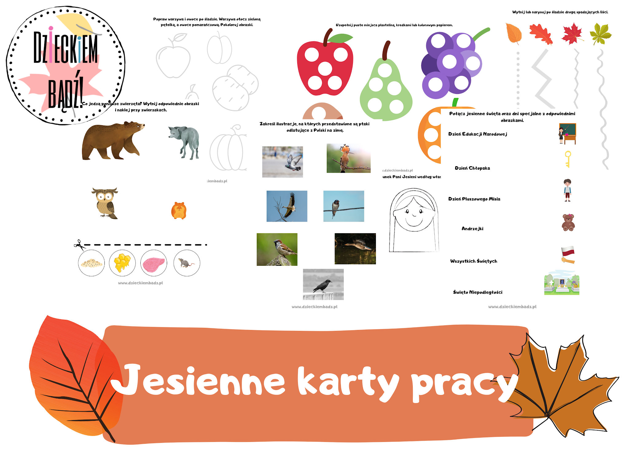 Karty Pracy Zadania Dla 3 Latka Do Druku