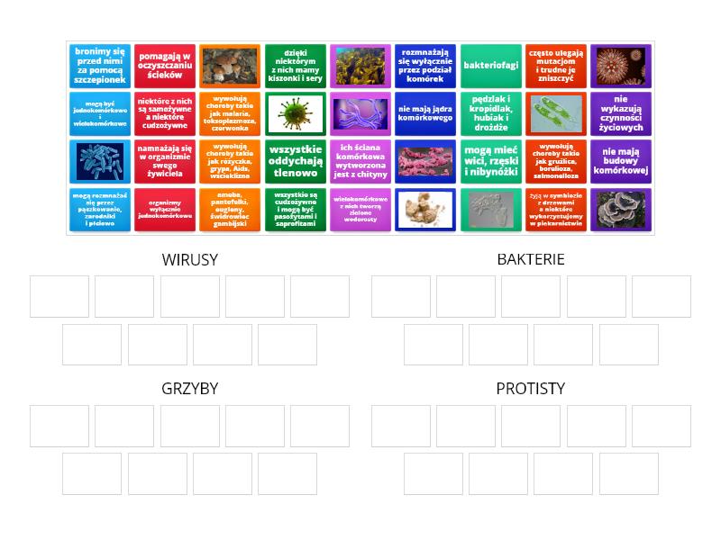wirusy, bakterie, grzyby i protisty - kl. 5 - Group sort Wirusy Bakterie Protisty I Grzyby Wordwall