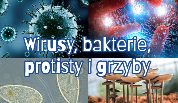 Wirusy, bakterie, protisty i grzyby | sameQuizy Puls Zycia Klasa 5 Sprawdzian Wirusy Bakterie Protisty I Grzyby