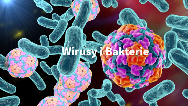 wirusy i bakterie Wirusy Bakterie
