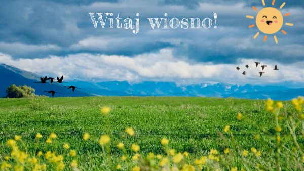witaj wiosno Ludowy Instrument O Niskich Dźwiękach