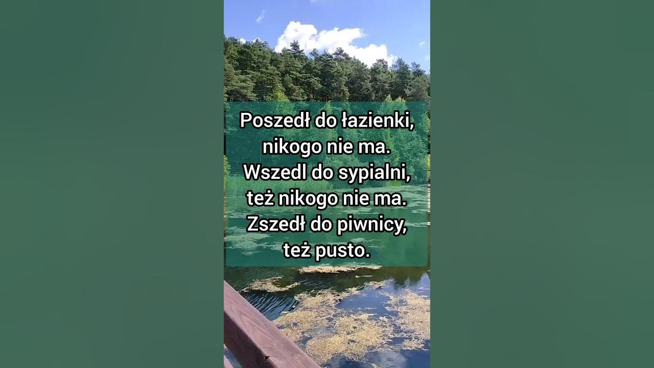 Wkurzony niedźwiedź biega po lesie 🤣😅😂 - YouTube Wiewióreczka Mała Po Lesie Biegała Tekst Piosenki