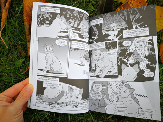 Wojownicy Manga Tygrysia Gwiazda I Sasza W Kniei