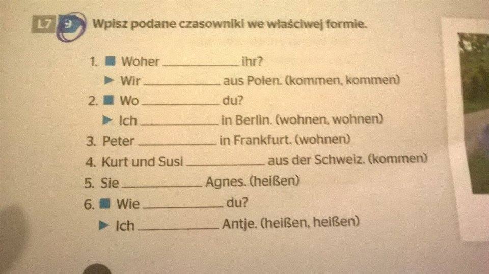 Wpisz Czasownik Mogen We Wlasciwej Formie