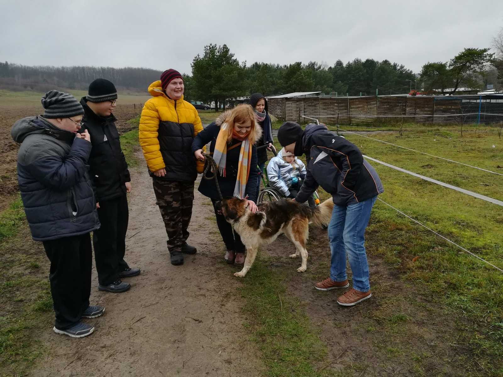 Wspieramy Schronisko dla Bezdomnych Zwierząt OTOZ Animals w Dąbrówce Animals Schronisko Dla Bezdomnych Zwierzat