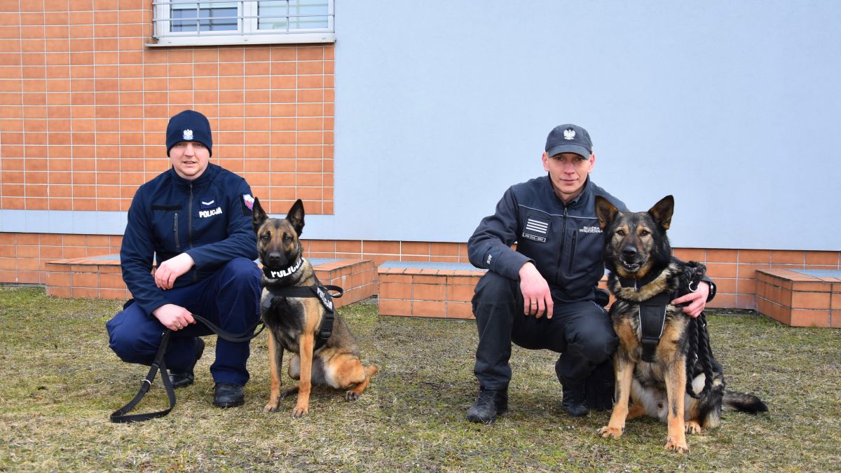 Wspólne szkolenie przewodników psów specjalnych - Bogaty Region Szkolenie Psw Gdansk Piaty Pazur