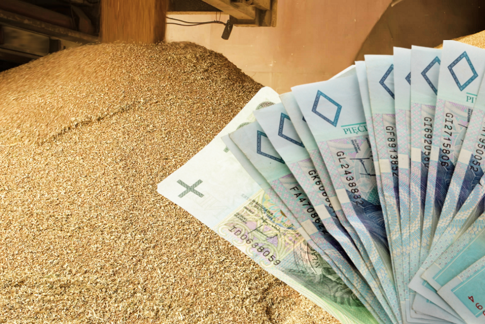 Wycofać czy nie? Do kiedy można składać wnioski o dopłaty do materiału Do Kiedy Wnioski Do Materiału Siewnego