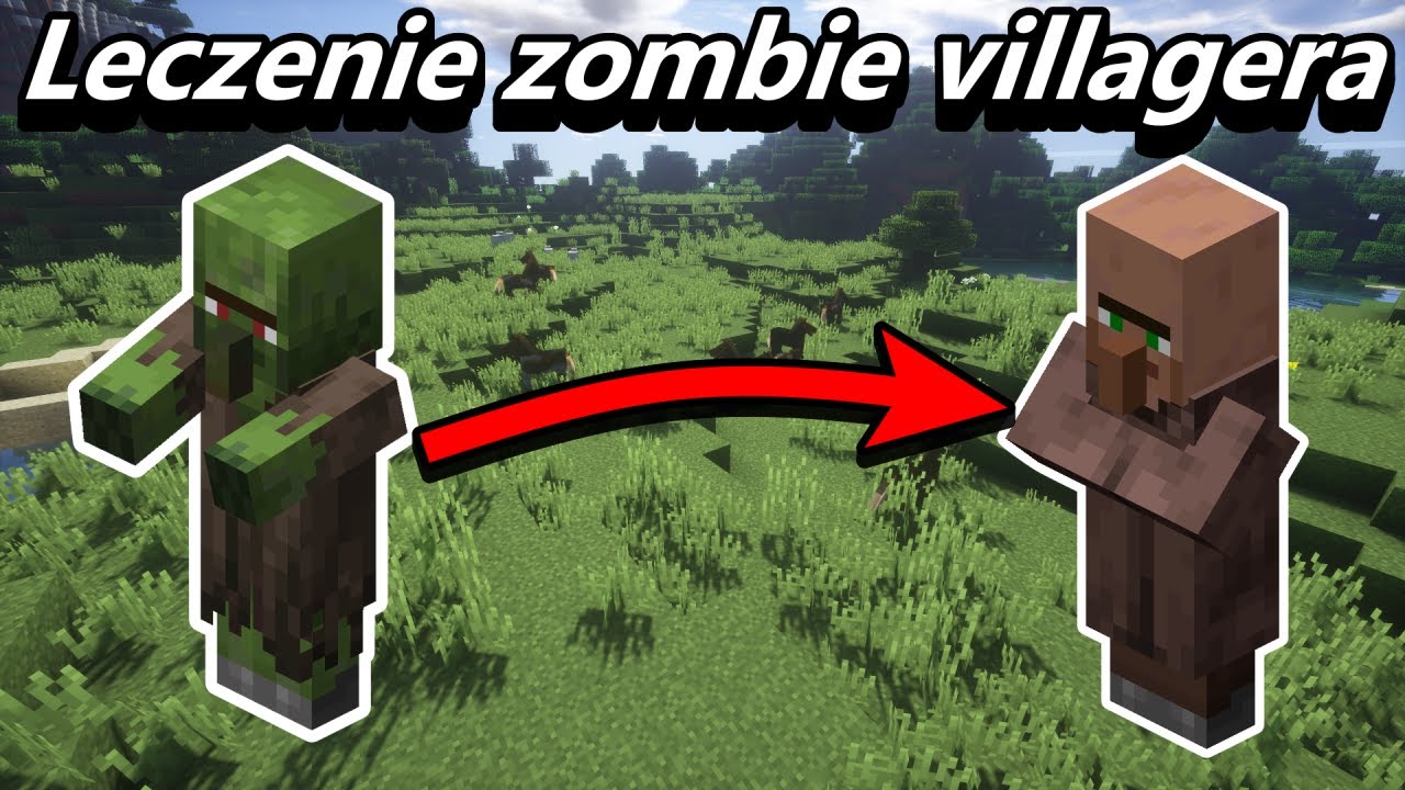 Wyleczenie Zombie villagera🧠 i zamienienie go w villagera Minecraft Jak Zmienić Zombie Villagera W Villagera