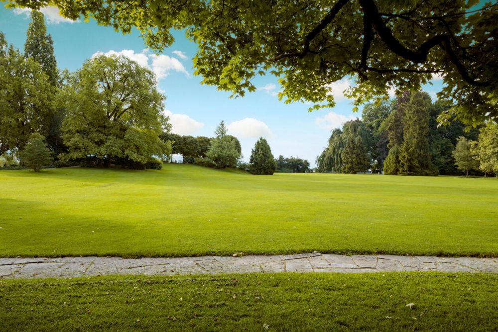 Park I Miejsce Po Dawnym Pałacu Rodu Von Ramin