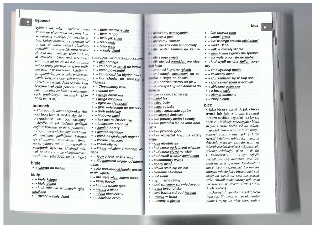 Wypisz Związki Frazeologiczne z Biblii - Brainly.pl Związki Frazeologiczne Z Biblii I Ich Znaczenie