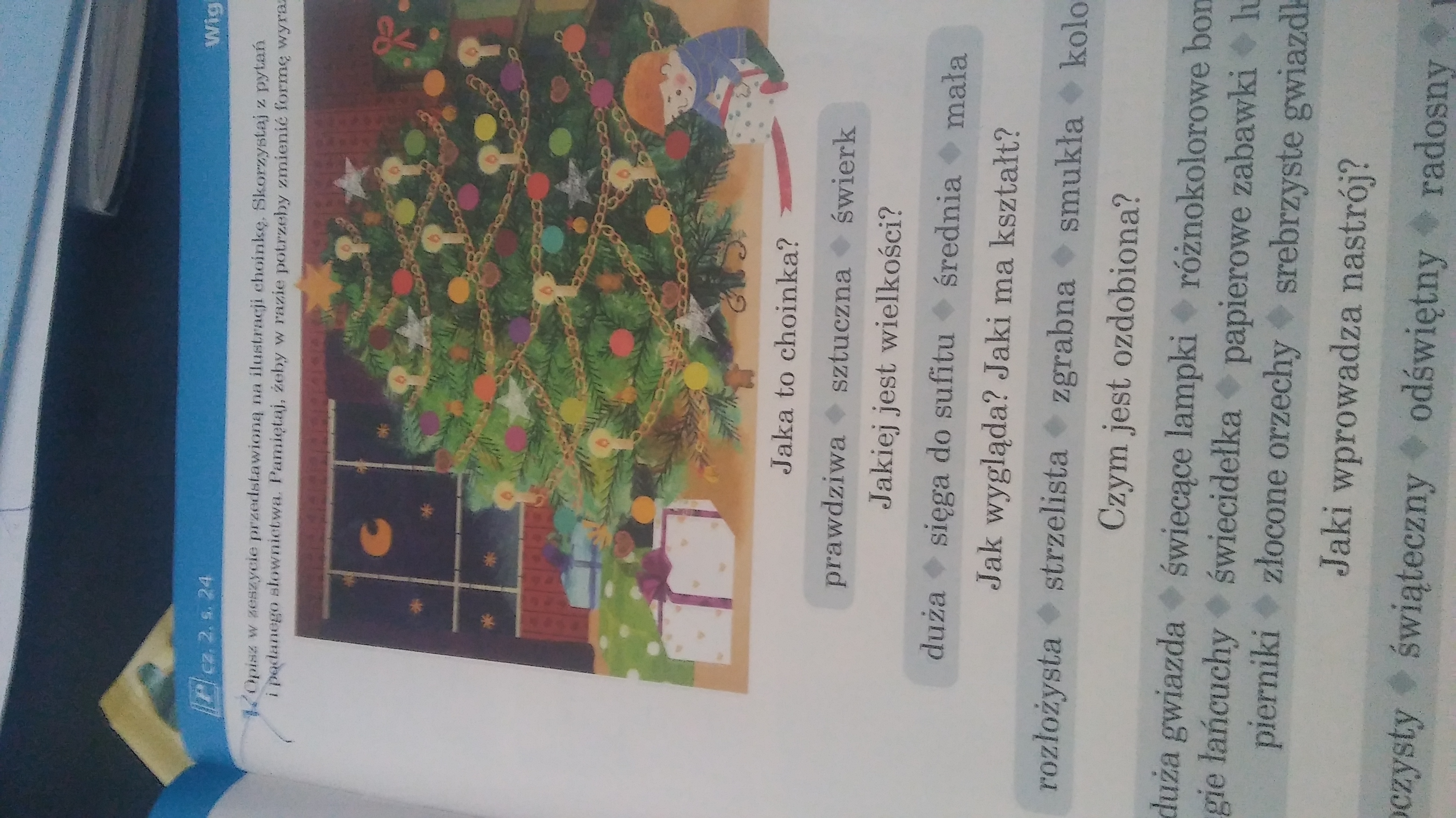 Opisz W Zeszycie Przedstawiona Na Ilustracji Choinke