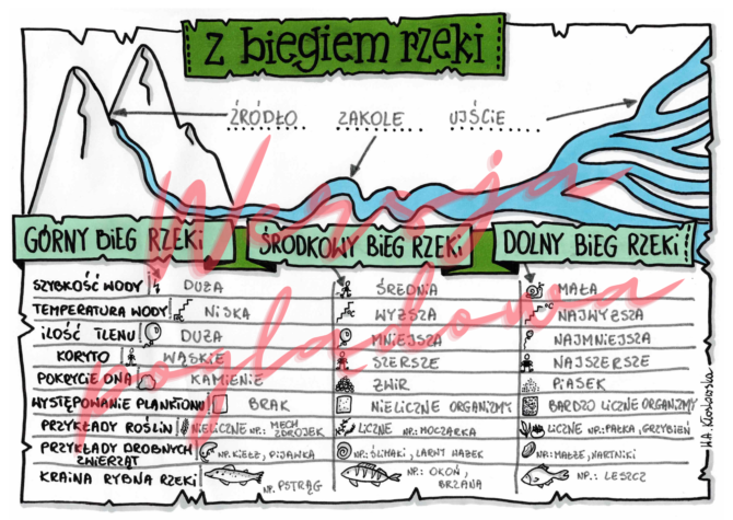 Z biegiem rzeki -przyroda kl. 4 -wypełniona karta pracy • Złoty nauczyciel Przyroda Klasa 4 Z Biegiem Rzeki