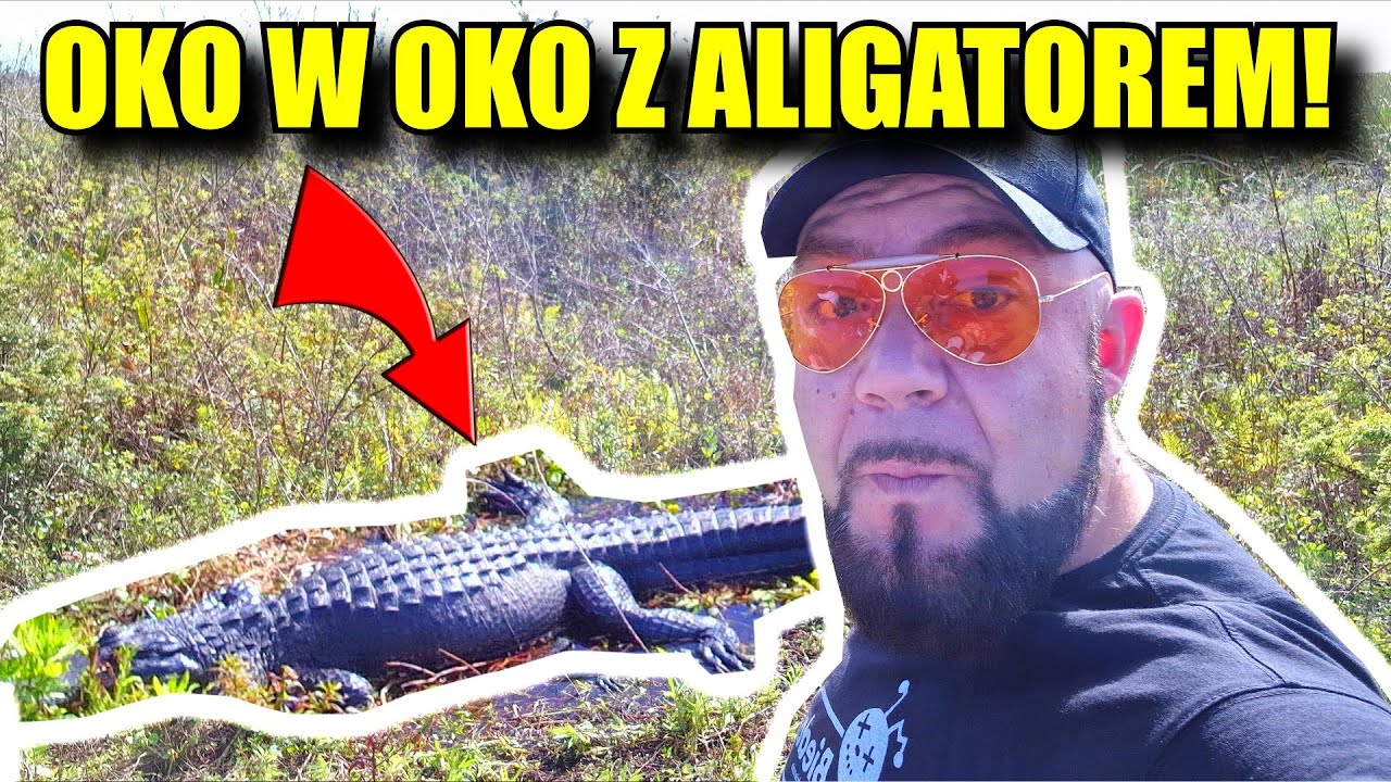 Z GADEM TWARZĄ W TWARZ! I to nie Teściową - YouTube Jedynym żyjącym W Polsce Jadowitym Gadem Jest