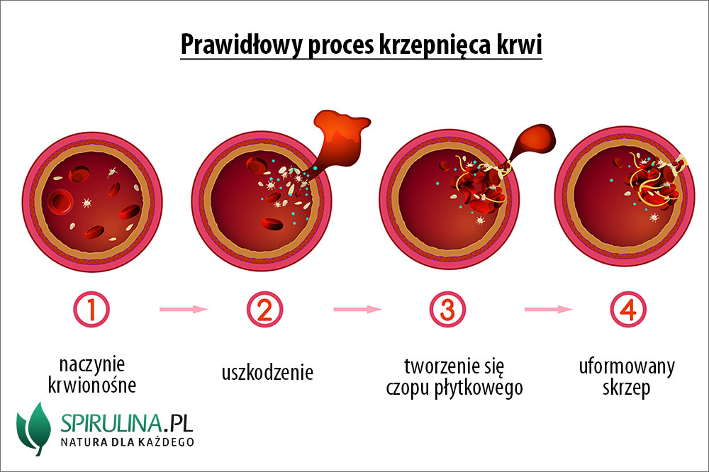 Zaburzenia krzepnięcia krwi - algi Spirulina i Chlorella Podkresl Nazwy Trzech Elementow Odpowiedzialnych Za Prawidlowe Krzepniecie Krwi