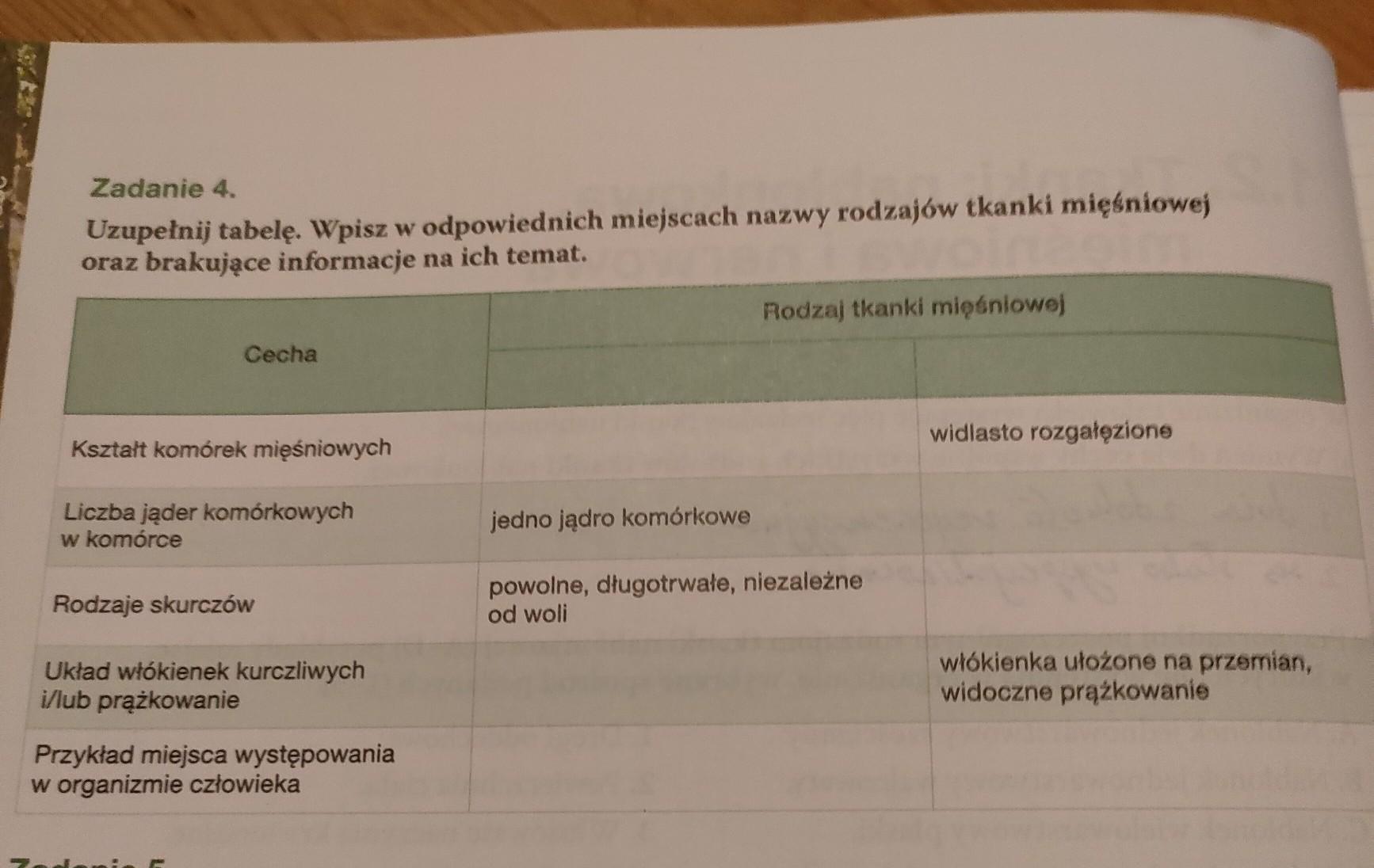 Wpisz W Odpowiednie Miejsca Podane Nazwy Elementów Wyposażenia Husarza