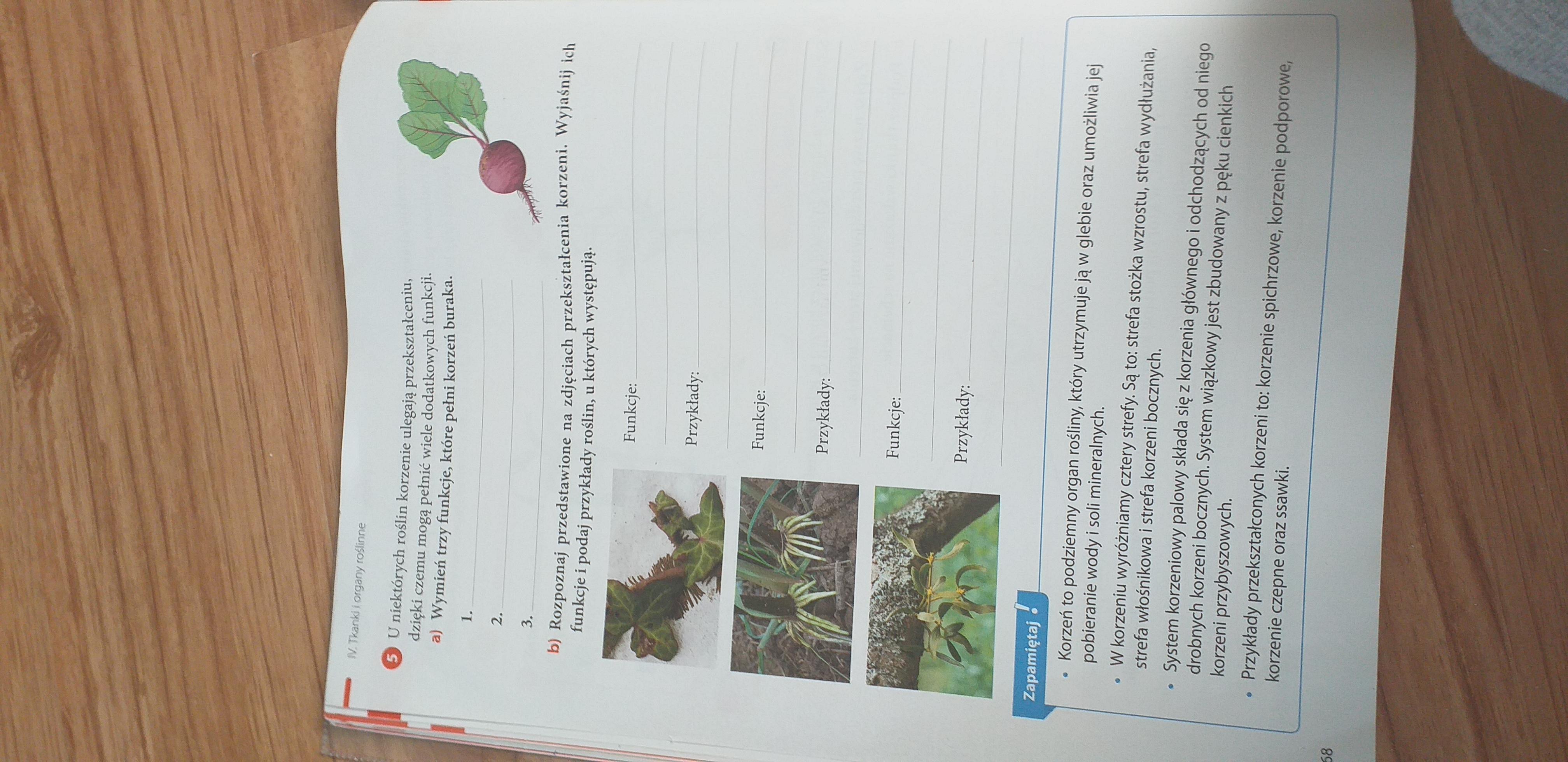 Zadanie 5 strona 68 biologia klasa 5 ćwiczenia Puls Życia. - Brainly.pl Puls Zycia Klasa 5 Cwiczenia