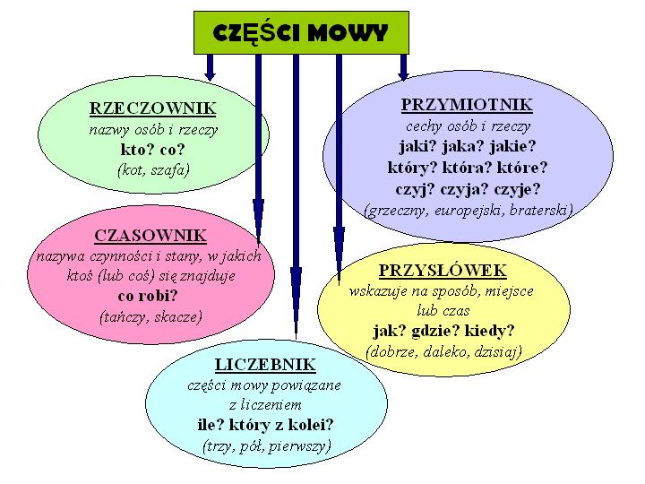 Przyimek Na Jakie Pytania Odpowiada