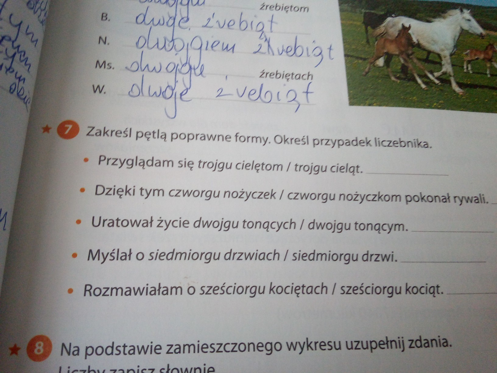 Zakreśl centrum Popraw poprawne formy Określ przypadek liczebnika Zakresl Poprawne Formy Ive Bought Some Postcards