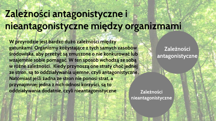 Zależności antagonistyczne i nieantagonistyczne między organizmami na Antagonistyczne I Nieantagonistyczne Zależności Między Organizmami