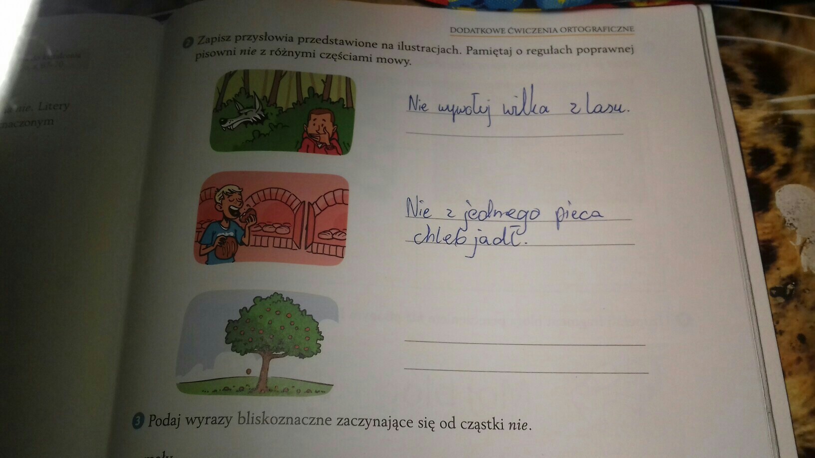 Zapisz przysłowia przedstawione na ilustracjach Pamiętaj o regułach Opisz Przedstawione Na Ilustracji Miejsce Używając Wyrazów Z Ramki
